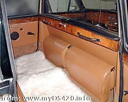 limo bicolor