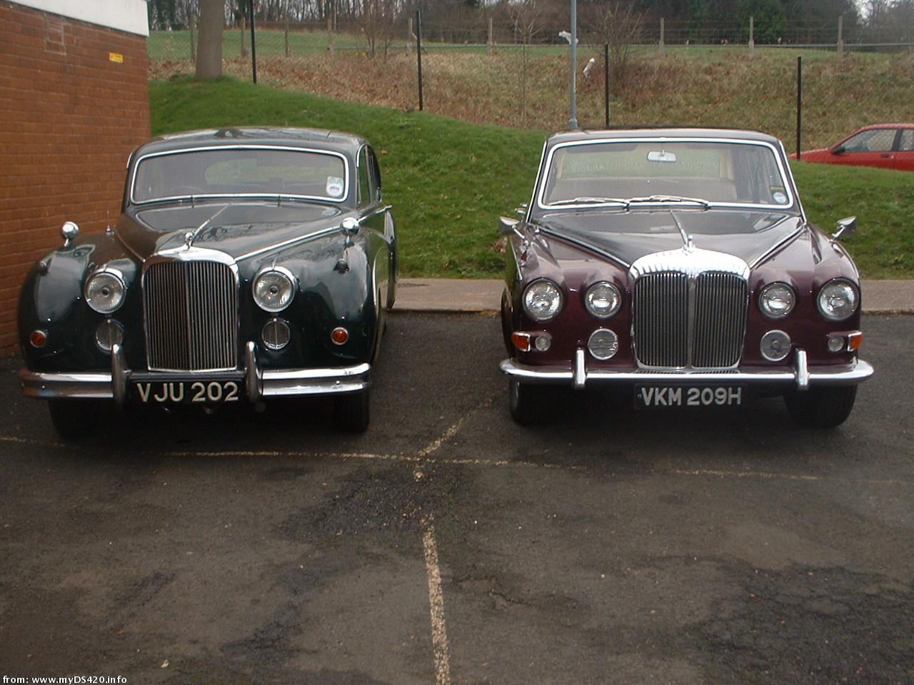 Two Jaguars two_jags