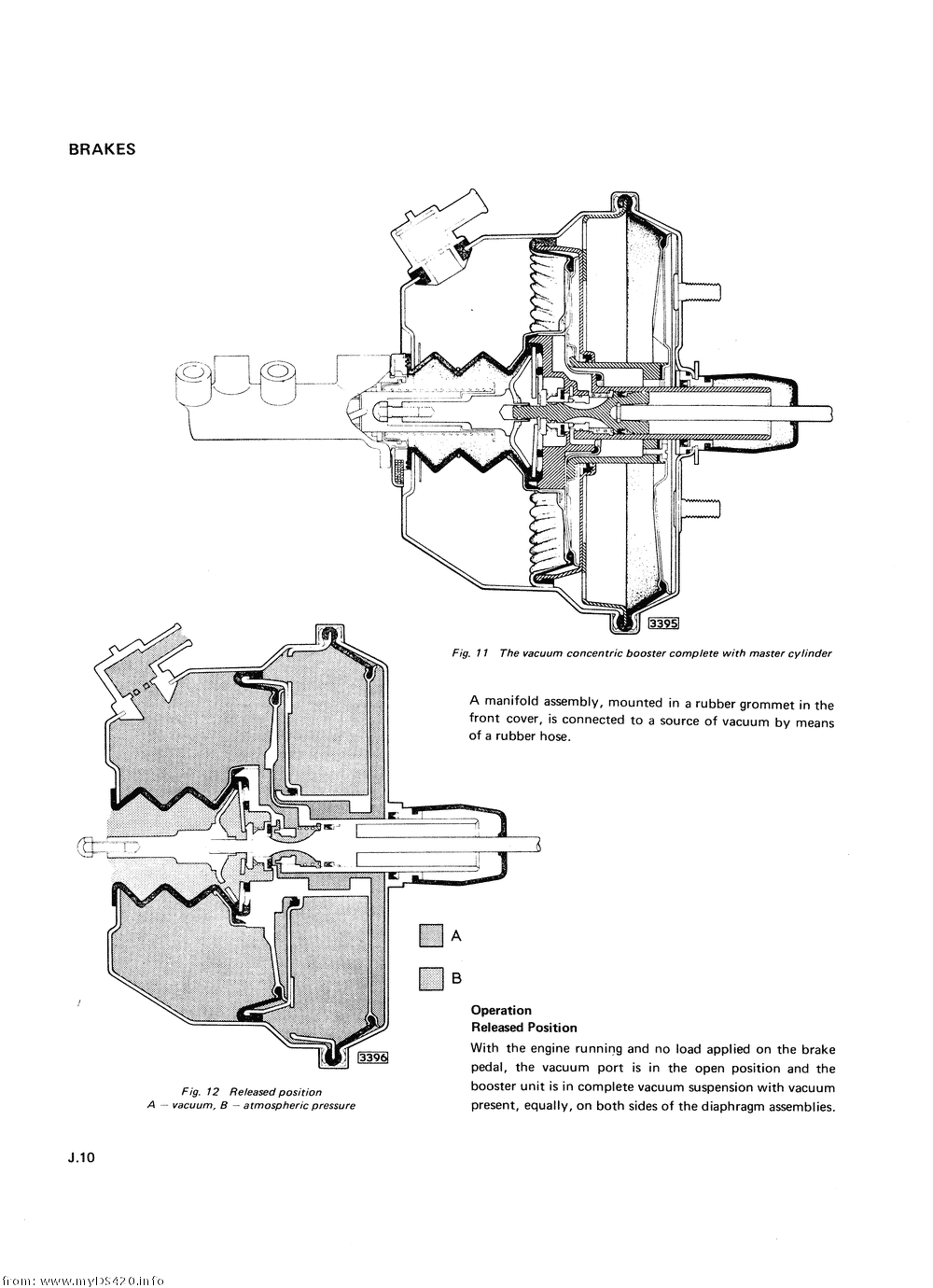 pJ-10