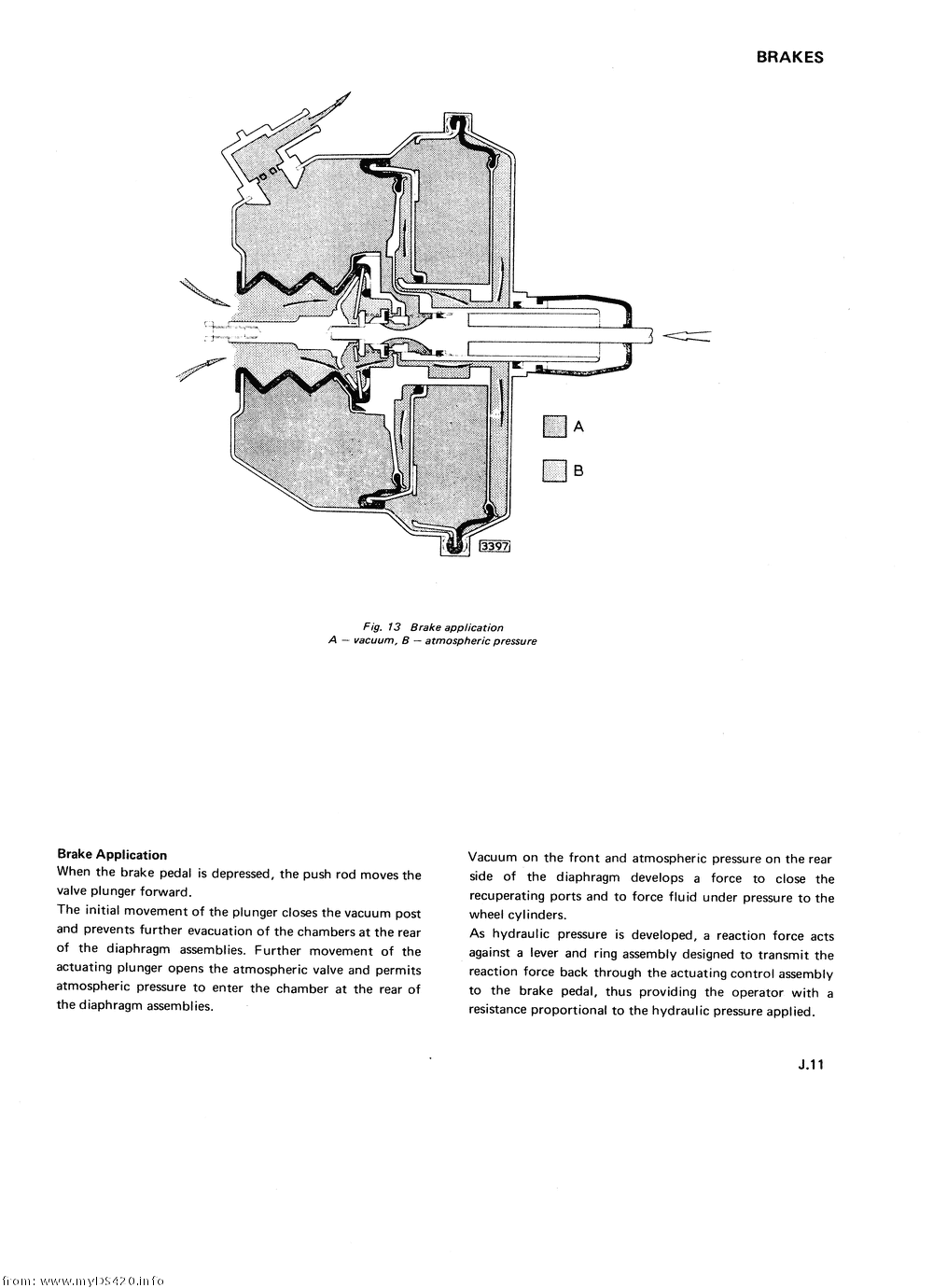 pJ-11