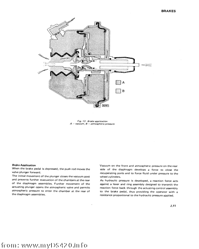 pJ-11